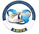 Logo AMON